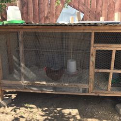 Chicken Coop