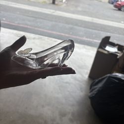 Clear Plastic Slipper 