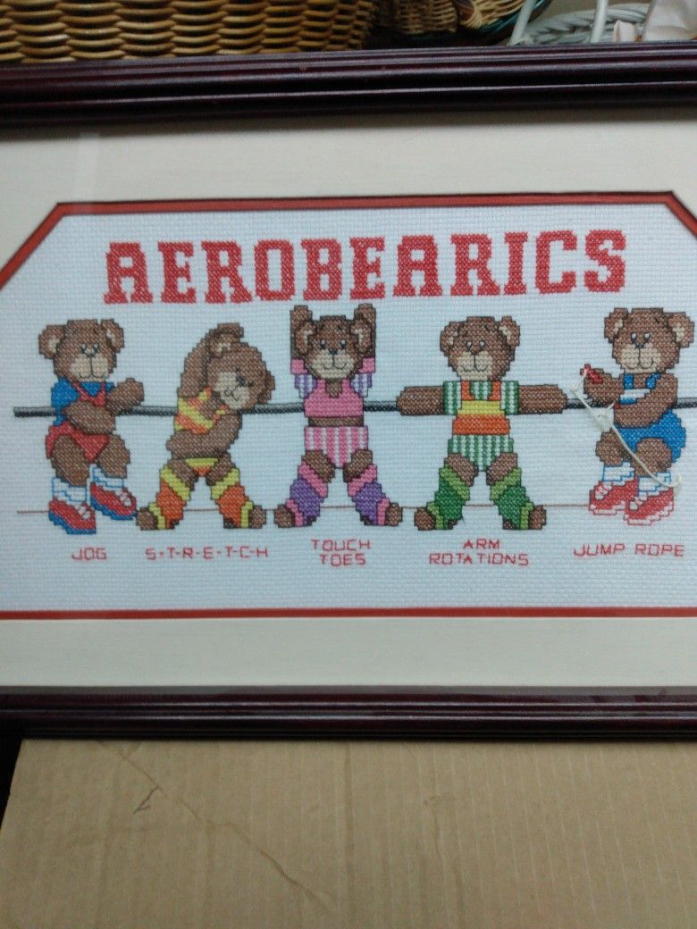 Areobearics Picture( NEEDLEPOINT)