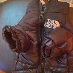 Dog Puffer Coat 