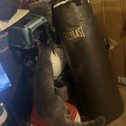 Boxing Bag With Hooks