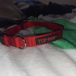 dog collar