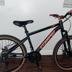Bike ecarpat boost
