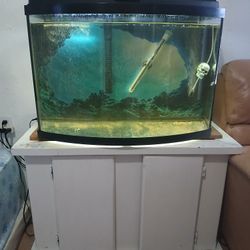 Fish Tank 