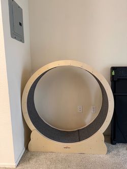 Cat Wheel
