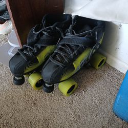 $55. obo  Lady's9 Roller Speed Skates I Believe 