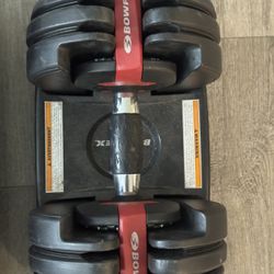 Bow flex Dumbbell 