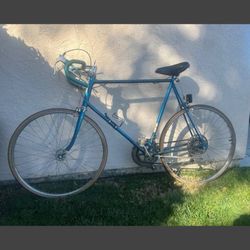 Vintage 1978 10 speed Schwinn continental Make An Offer