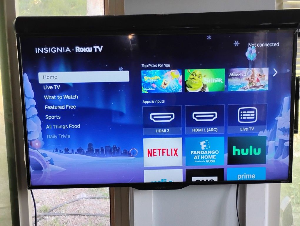 39" Insignia Roku Smart Tv