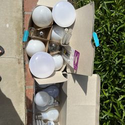 Light Bulbs