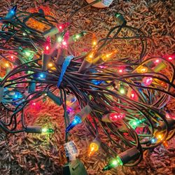 100-Led lights Multi-Color Blue Red Green Purple Orange Color Lights, Green Wire, Indoor/outdoor