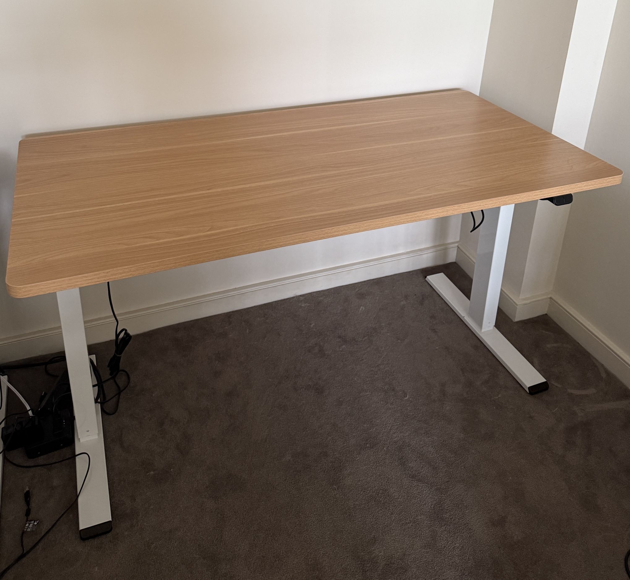 Flexispot Standing Desk (Whole Piece)
