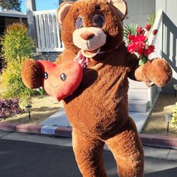 Valentines Teddygram Delivery Service 
