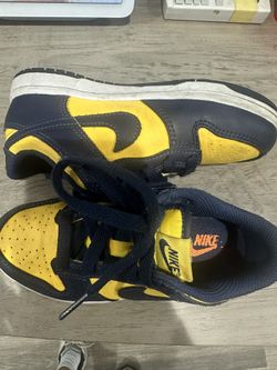 Kids Dunks 👀 For Kids12.5