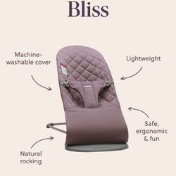 Baby Bjorn Baby Bouncer