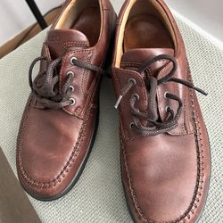 Ecco shoes, size 12