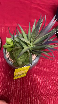 Artificial Plant With Ceramic Vase