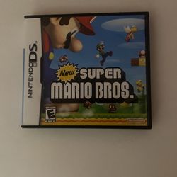 New Super Mario Bros for the Nintendo DS