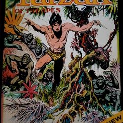 Edgar Rice Burroughs Tarzan Of The Apes 1972 illustrated hardback book