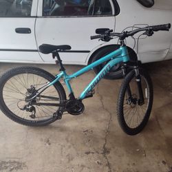 Schwinn Bike