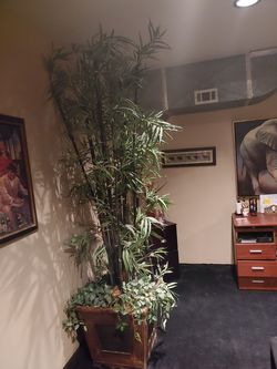 Artifical 8 1/2 foot Bamboo plant