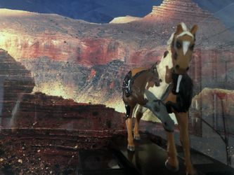 Painted Ponies Collection Year Of The Horse