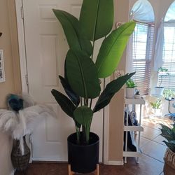 Artificial Houseplants