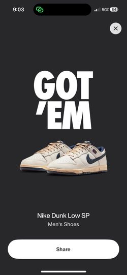 Nike Dunk Low x Stranger Things Sz 12