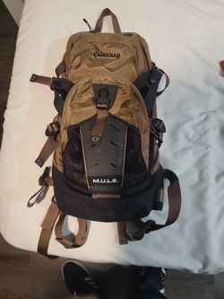 Camelbak M.U.L.E And Osprey Reservoir