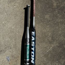 Baseball Bat (set of 2)