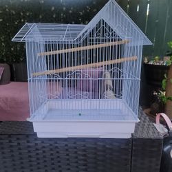 Bird Cage 