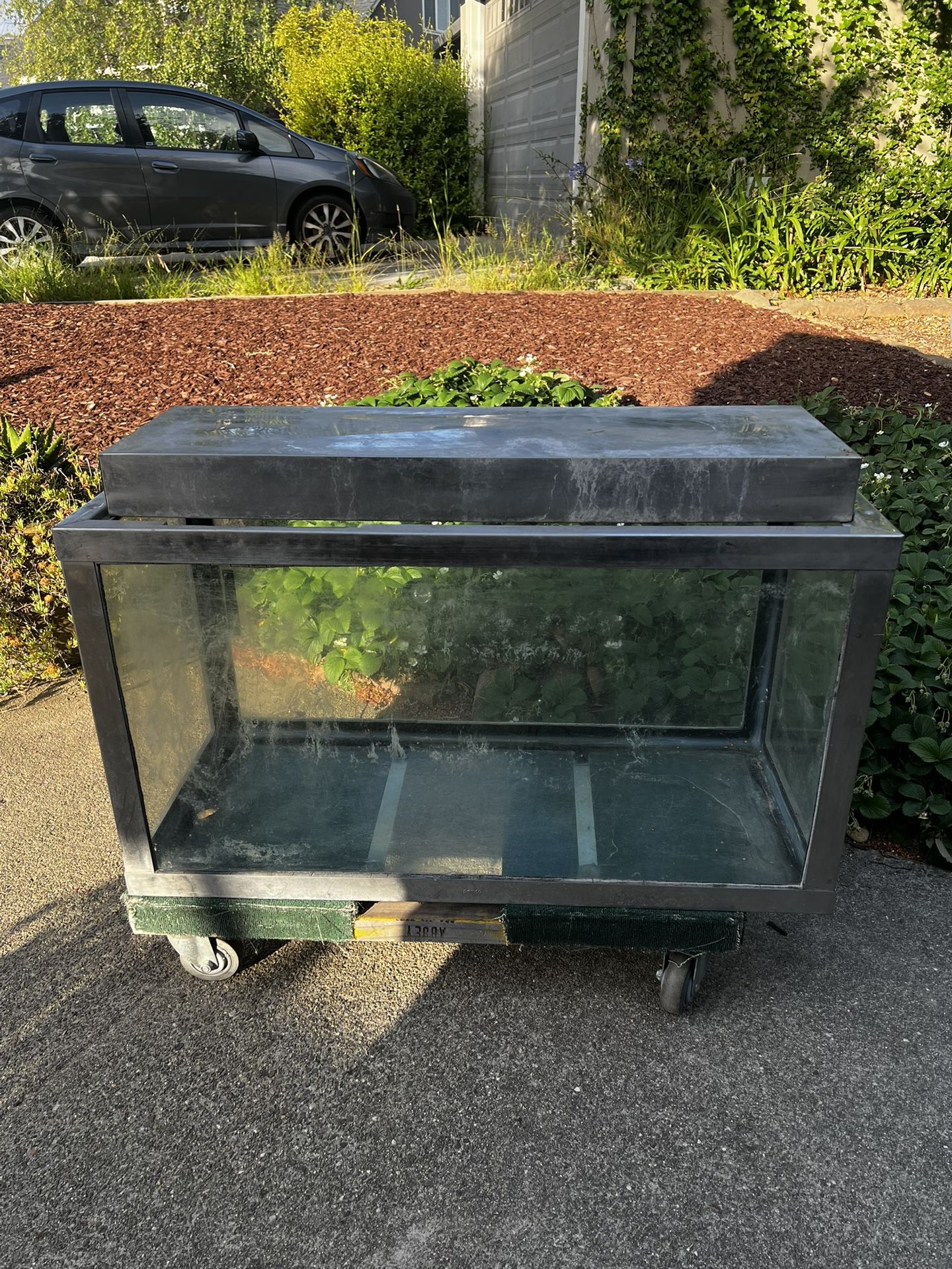 Steel Frame 50 Gallon Fish Tank