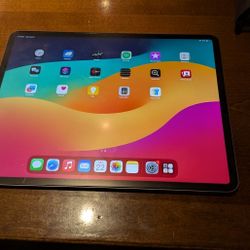 4th Gen Pad Pro 12.9 256gb Wifi