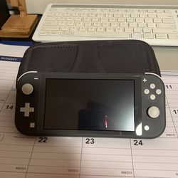 Nintendo switch light