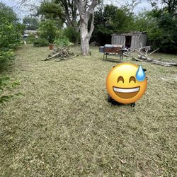Grass Cut