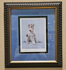 Fox Terrier Print In Wood Framed Picture Frame 108/850