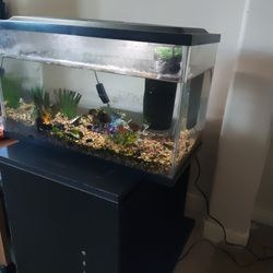 10g aquarium with stand, gravels, deco, filter, lid etc 