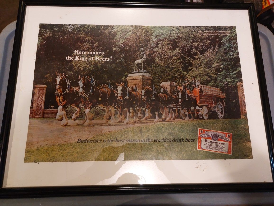 Framed Budweiser Clydesdale Poster