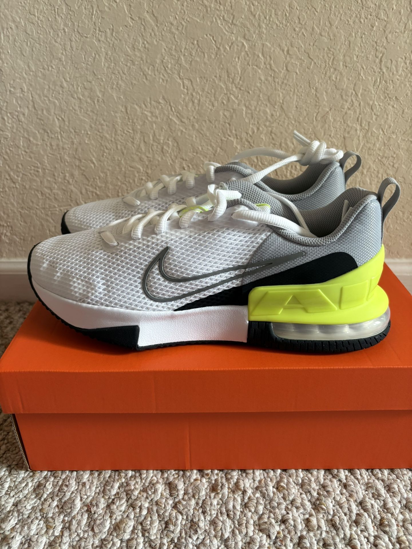 Nike Air Max Alpha ‼️Steal Price ‼️Multiple Sizes $50