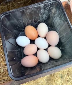 Farm Fresh