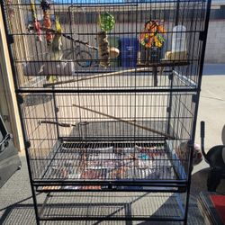 Bird Cage