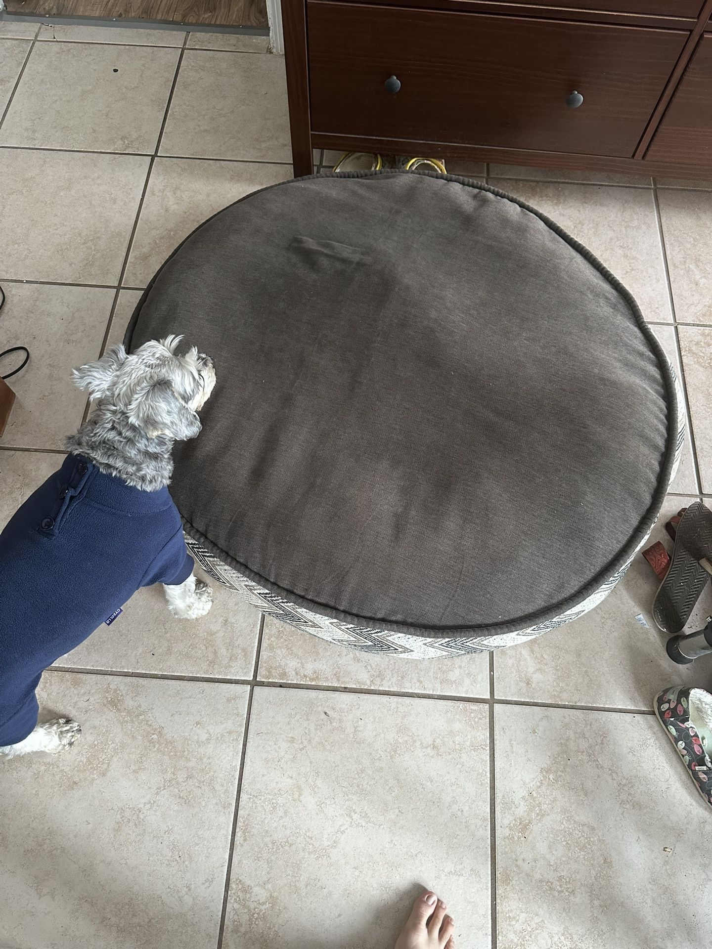 Costco Dog Bed