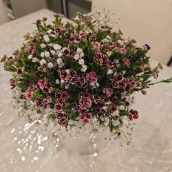 Natural Flower With Ceramic Pot