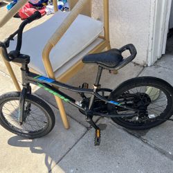 Trek Kids Bike
