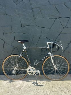 ALAN Record Carbonio 80s Road Bike