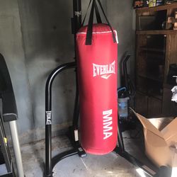 Everlasting MMA Punching Bag 