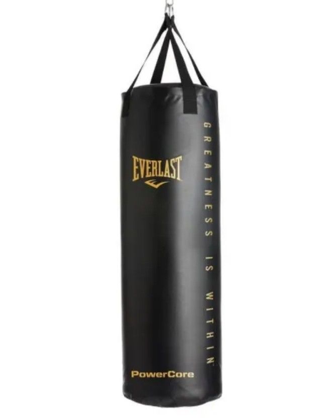 Everlast 80 Lb Punching Bag
