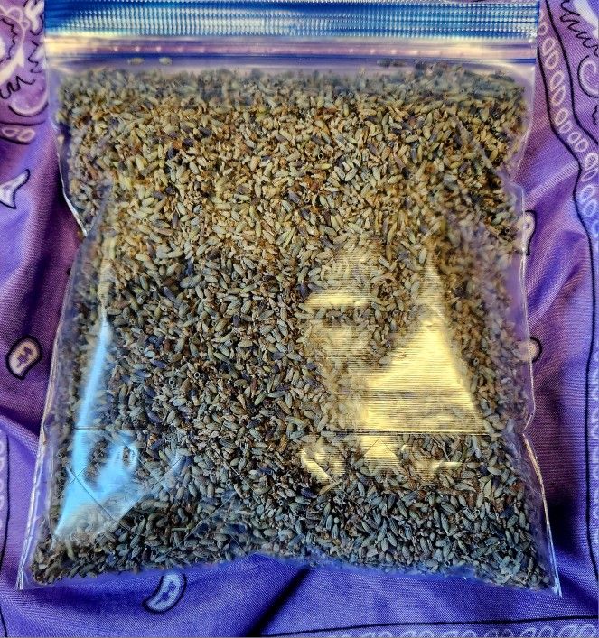 Dried Lavender Flowers