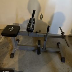 Titan Fitness Seated Calf Raise Machine 