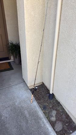 Fenwick HMG spinning rod and reel